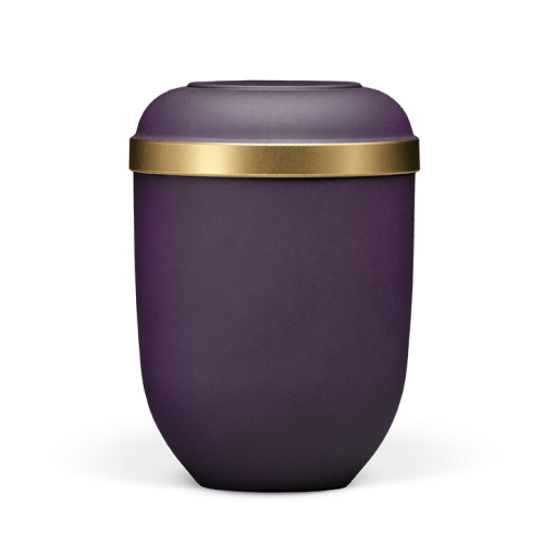 Urna natural veludo violeta