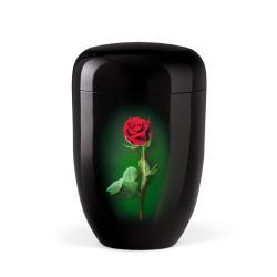 Urna natural preto com rosa