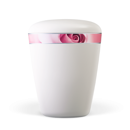 Urna natural c/fita rosas