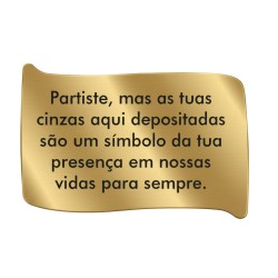 Chapa Inox 2 dourado