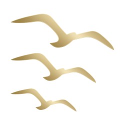 Recorte Gaivotas Inox dourado