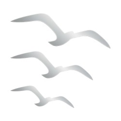 Recorte Gaivotas Inox