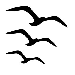 Recorte Gaivotas Inox preto