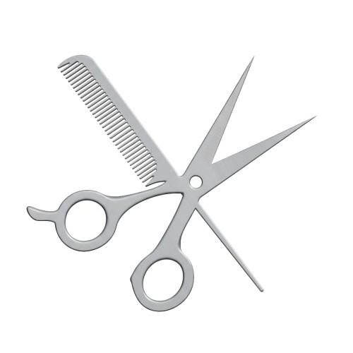 Recorte Profissão Inox 1