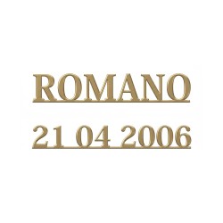 Letra Romano Barra Inox bronze